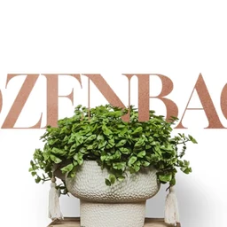 Logo ROZENBACH
