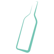 Logo DIVINS