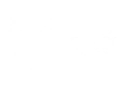 Logo Deluxe Concepts