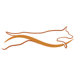 Logo NASSERA RAEMAN