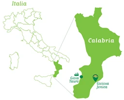 Logo SAOR ITALIA SRL