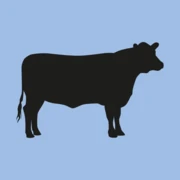 Logo VB-AGRO