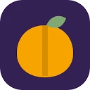 Logo SPIJS