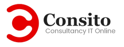 Logo Consito