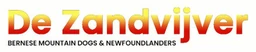 Logo DE ZANDVIJVER