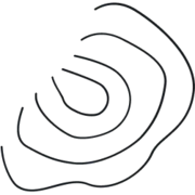 Logo ADEDE