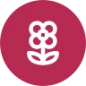 Logo B'Linea
