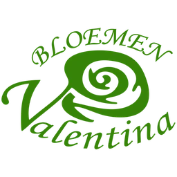 Logo BLOEMEN VALENTINA