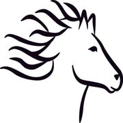 Logo Bornemse Ijslanderclub
