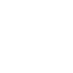 Logo Laagvliet