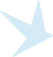 Logo Schwalbe Benelux BV