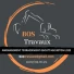 Logo BOS Travaux