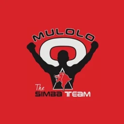 Logo THE SIMBA TEAM
