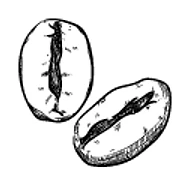 Logo CONDAXIS