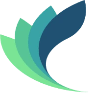 Logo GEMINI SOLUTIONS