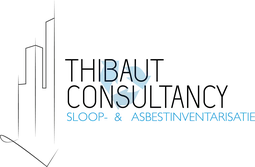 Logo THIBAUT CONSULTANCY