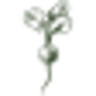 Logo MIEKE DE GEETER