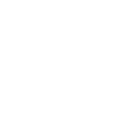 Logo LA FALIZE