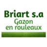 Logo BRIART