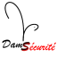 Logo DAMSECURITE