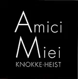 Logo AMICI MIEI