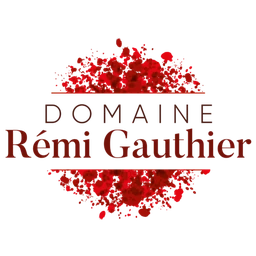 Logo DOMAINE REMI GAUTHIER