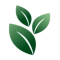 Logo V.O.F. PRAKTIJK CENTRUM BOMEN ADVIES