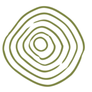 Logo SAELENS TRADING