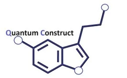 Logo QUANTUM CONSTRUCT