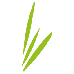 Logo DE KIEM