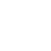 Logo Auto Blinkt