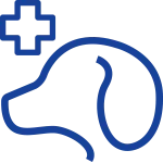 Logo DAP Radius