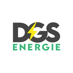 Logo DGS-Groep