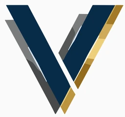 Logo VERTEX PRO