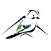 Logo Sojka