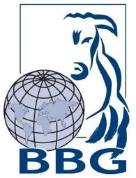 Logo BELGIAN BLUE GROUP
