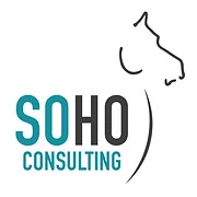 Logo Soho Consulting