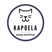 Logo Kapoela
