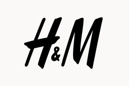 Logo H & M Group