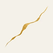 Logo KINTSUGI