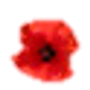 Logo BLOEMEN WIMCO