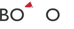 Logo BOXON