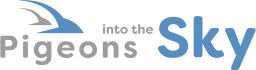 Logo PITTS