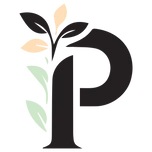 Logo PLAISIR EN BOITE