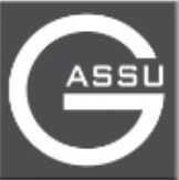 Logo ASSUGROUP