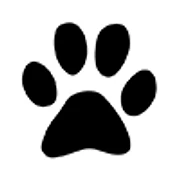 Logo POLLICINO