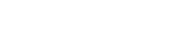 Logo Vision Project