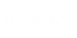 Logo Stone Solutions