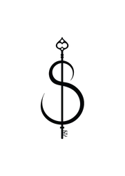 Logo Singularity Studio