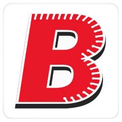 Logo BORINGEN ZIRDA